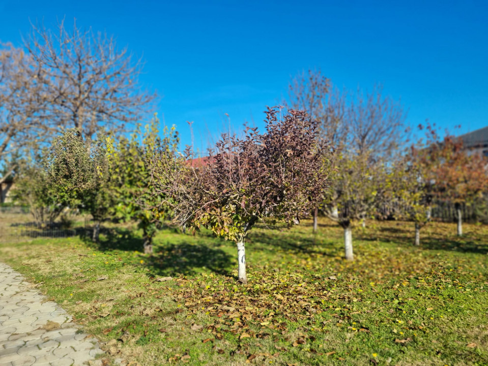 VILA ,CASA DE VANZARE 