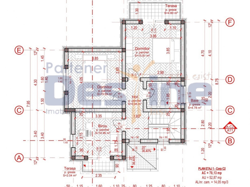 CASA P+1+POD , MIROSLAVA- BALCIU