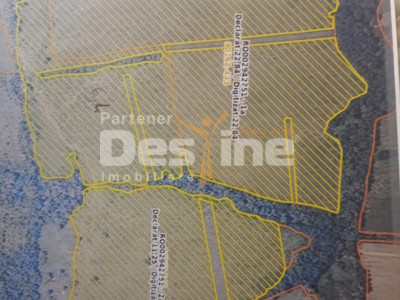 Oportunitate de investitie- teren Martinesti, Hunedoara