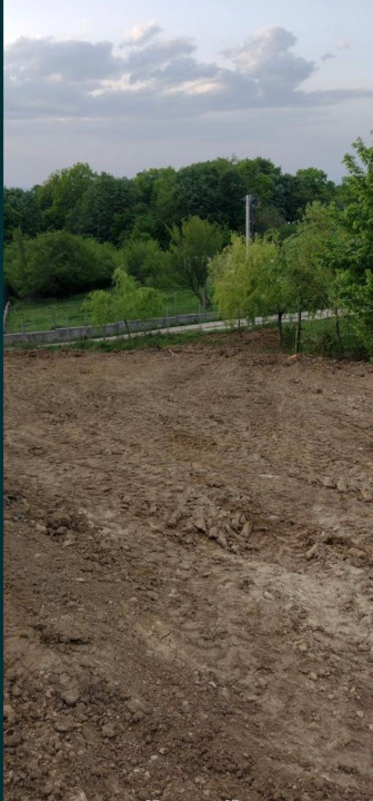 Teren intravilan de vânzare – Bucium, Iași | 1.300 mp