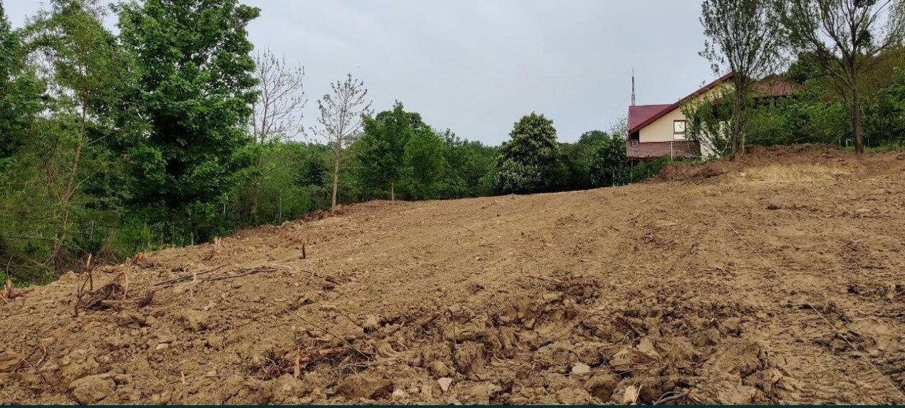 Teren intravilan de vânzare – Bucium, Iași | 1.300 mp