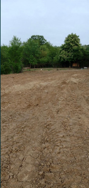 Teren intravilan de vânzare – Bucium, Iași | 1.300 mp