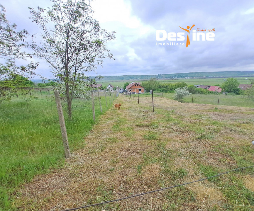 LETCANI, Teren 1055 mp, 22.000 euro