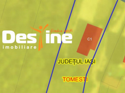 CASA 3 CAMERE, 62 MP, TEREN 800MP, TOMESTI
