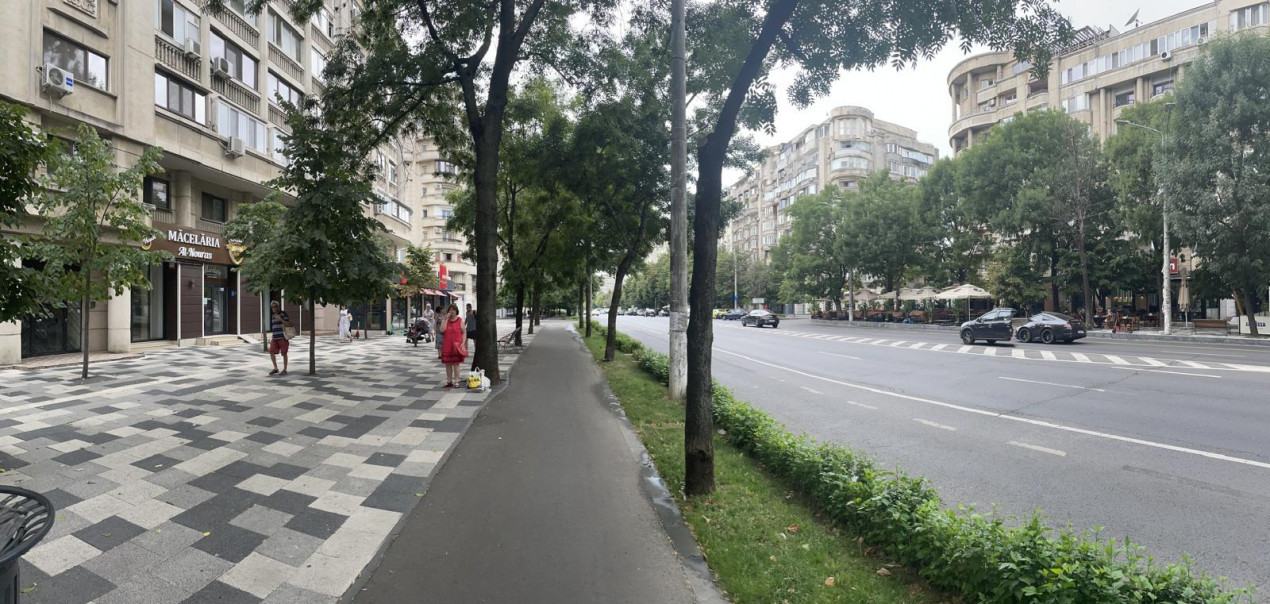 Spatiu Comercial Decebal nr 5