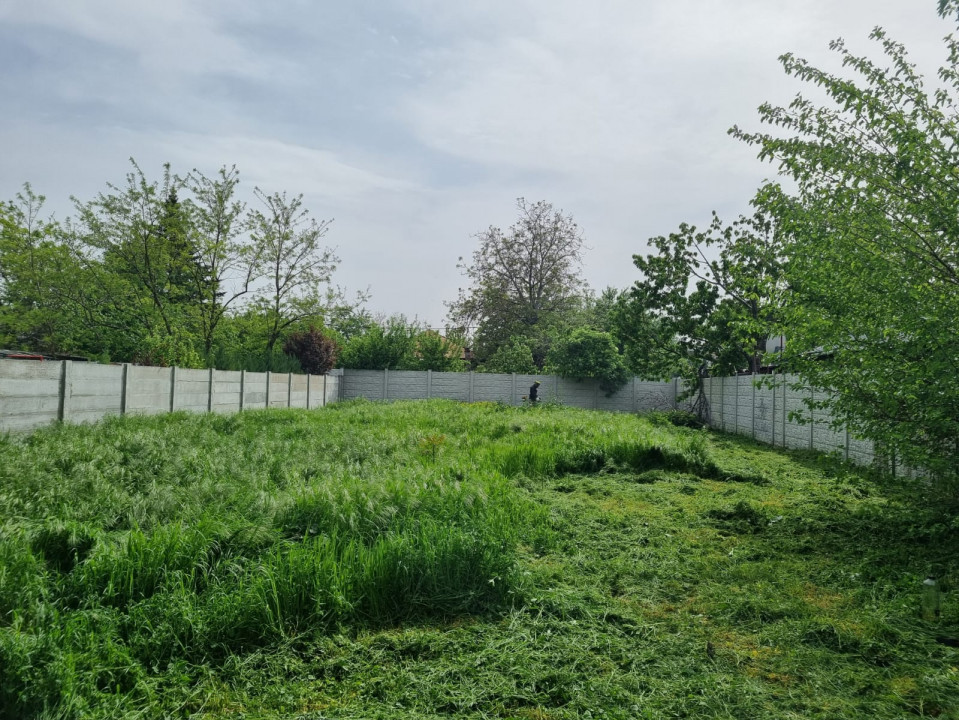 TEREN DE VANZARE in calarasi