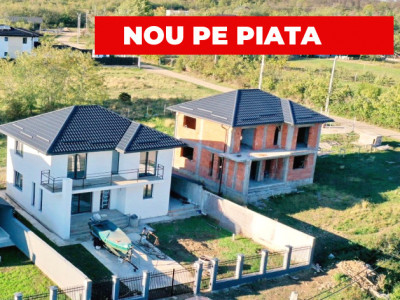 Case P+1 Paulesti