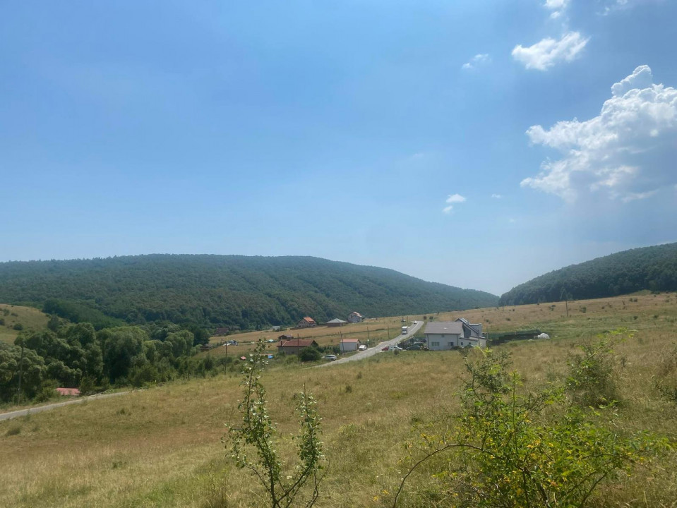 Vânzare Teren Intravilan Salicea 1100m2