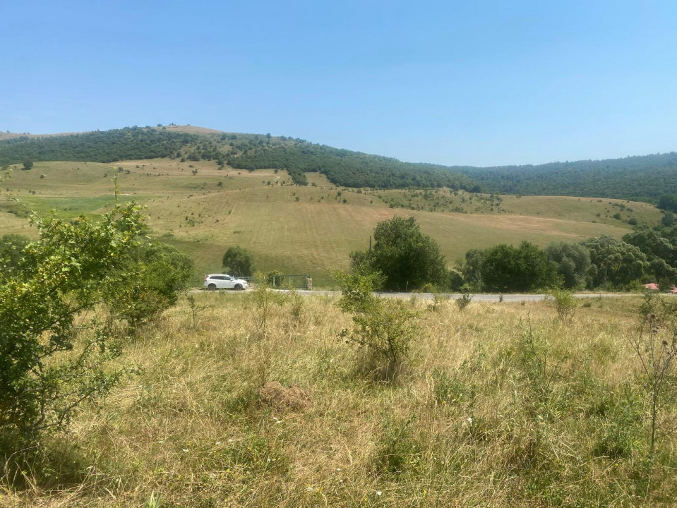 Vânzare Teren Intravilan Salicea 1100m2