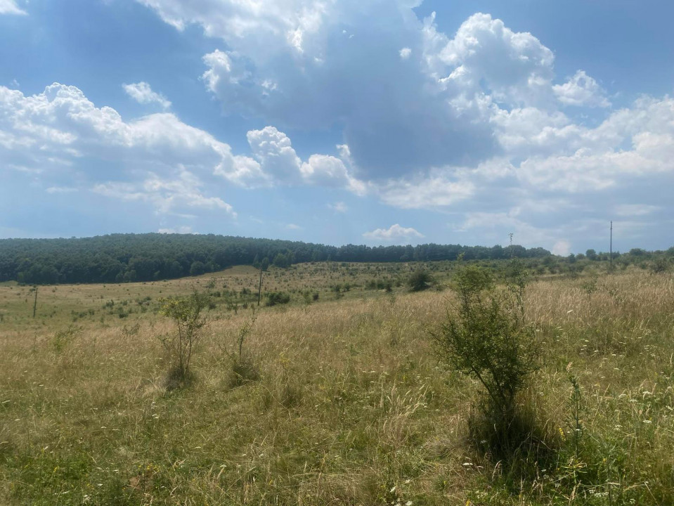 Vânzare Teren Intravilan Salicea 1100m2