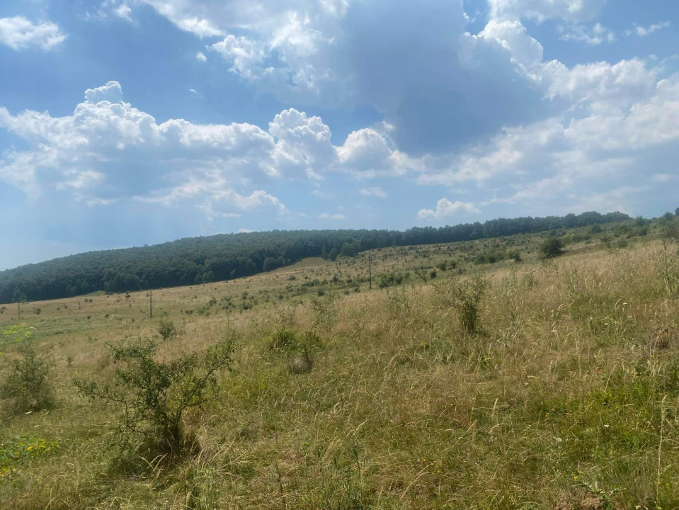 Vânzare Teren Intravilan Salicea 1100m2
