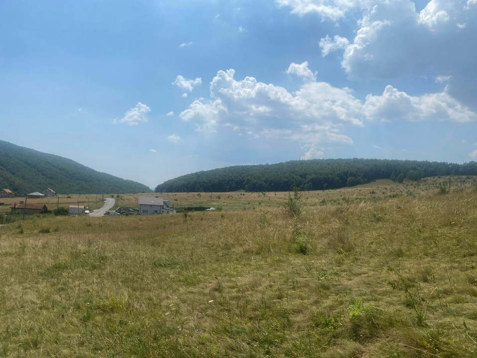 Vânzare Teren Intravilan Salicea 1100m2