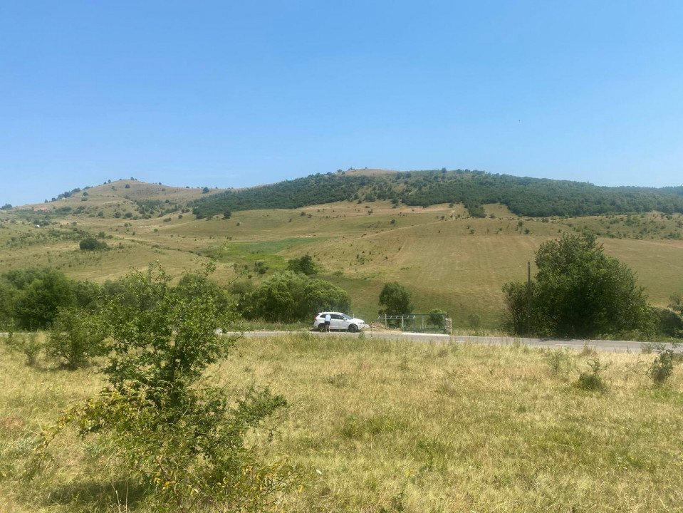 Vânzare Teren Intravilan Salicea 1100m2