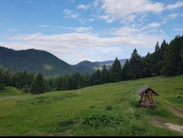 Pensiune de vanzare Dambovicioara la 7 km de Fundata/Sirnea