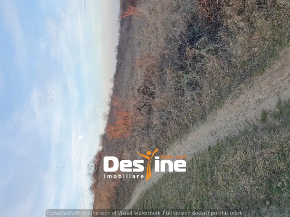 Teren Chicerea, 1250 mp, zonă în plină dezvoltare, 25 euro/mp