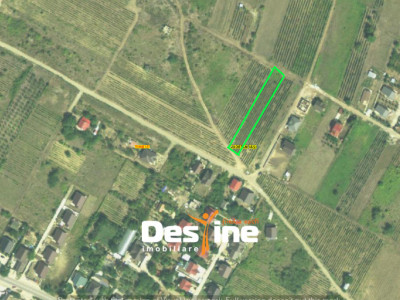 Teren Chicerea, 1250 mp, zonă în plină dezvoltare, 25 euro/mp