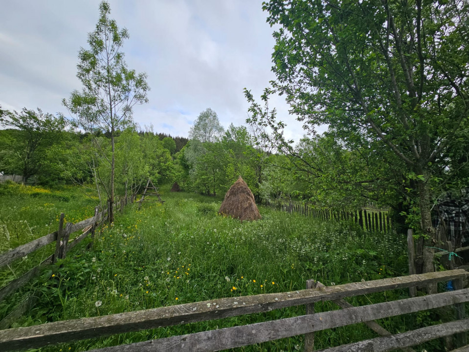 TEREN VANZARE VALEA DOFTANEI