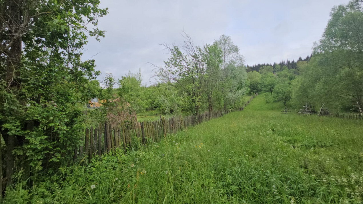 TEREN VANZARE VALEA DOFTANEI