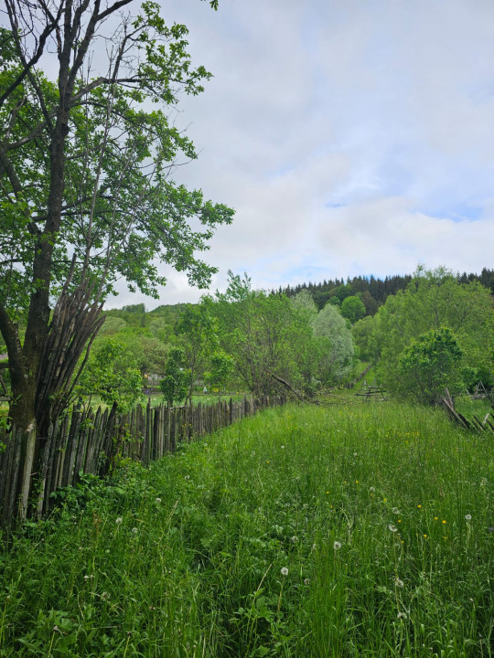 TEREN VANZARE VALEA DOFTANEI