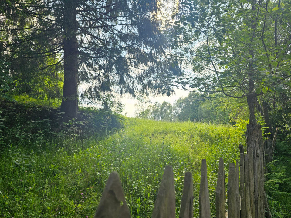 TEREN DE VANZARE APROAPE DE PADURE 