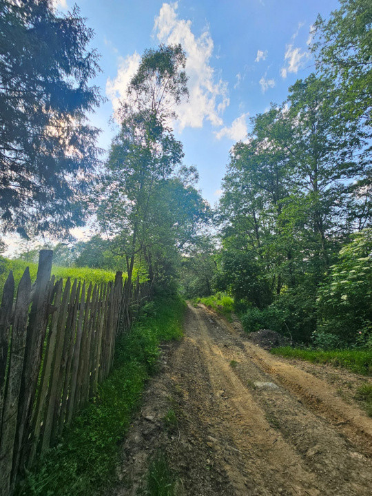 TEREN DE VANZARE APROAPE DE PADURE 
