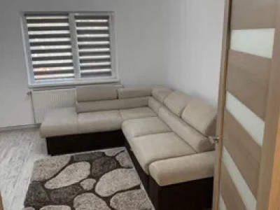 Apartament luminos și spațios, 3 camere, renovat complet- UZINA 2