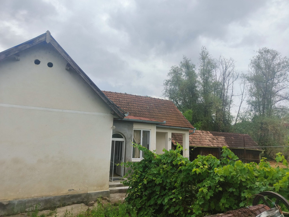 Casa vanzare