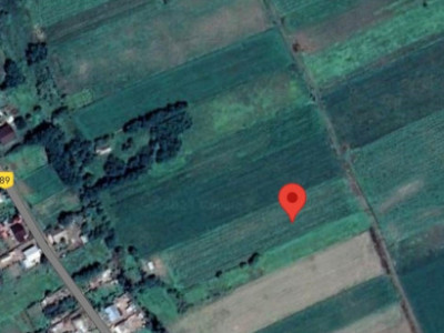 TEREN INTRAVILAN 7500 mp drum pietruit zona de case Cosițeni
