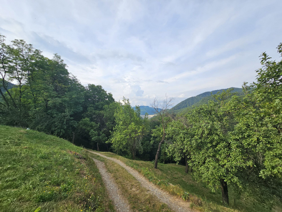 TEREN DE VANZARE SECIURI