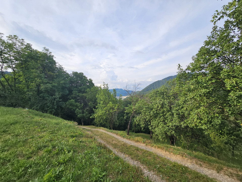 TEREN DE VANZARE SECIURI