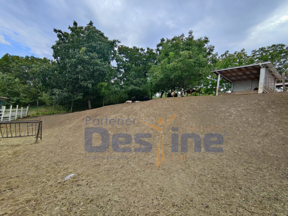 AFACERE - FERMĂ cu 20 ha, mini ZOO, hale si utilaje agricole