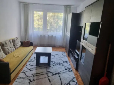 Apartament 2 cam 50 mp, Pet Friendly et 2, Garii