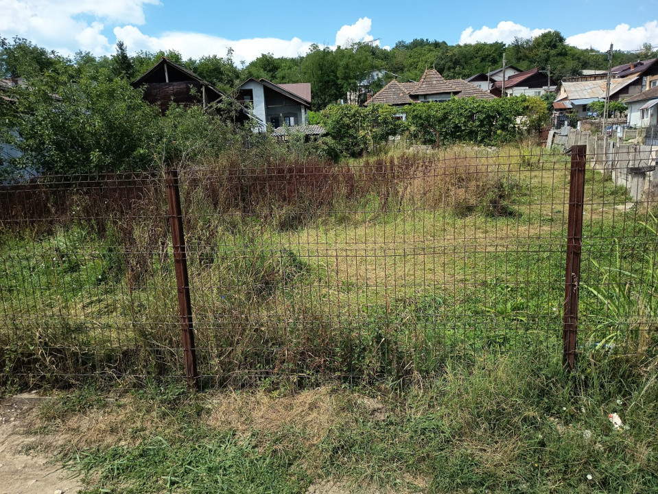 CASA  PITOREASCA DE VANZARE BRANESTI - DAMBOVITA