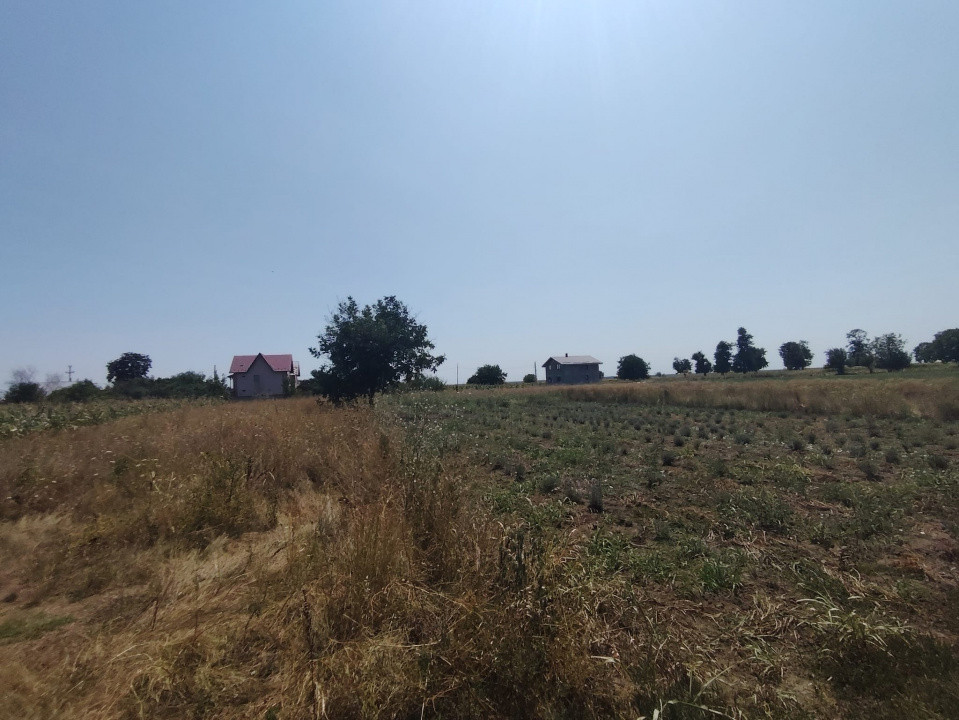 Teren intravilan Ungureni Filipestii de Targ