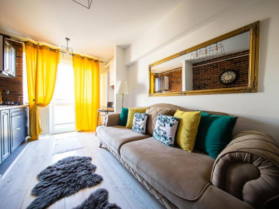 Persoana fizica apartament 2 camere Podu Ros Palas 