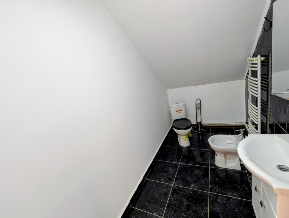 Ocazie - Casă P+M 196 mpt 5 camere 2 băi 1200 mp teren, liberă Horlești (Rediu)
