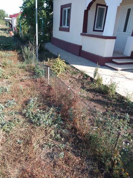 Casă de vânzare în Gârbovi, jud. Ialomița – la doar 70 km de București!