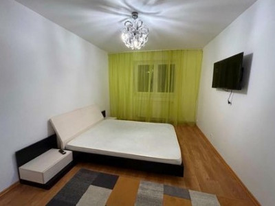 Apartament 2 camere 50 mp, pet friendly, Grivitei