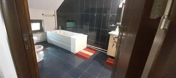 Vand casa in Lunca Cetatuii