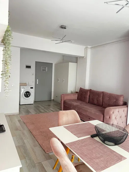 Studio 50 mp, pet friendly, Maurer Coresi