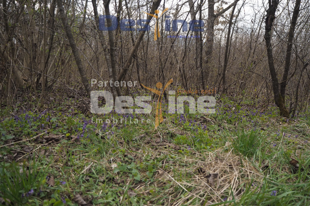 VAND CASA DEMOLABILA+6700 MP TEREN,PRIVELISTE PANORAMICA,DEJ