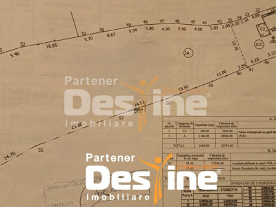 Teren generos 2400 mp cu casă, Stolniceni Prăjescu – doar 6 km de Pașcani