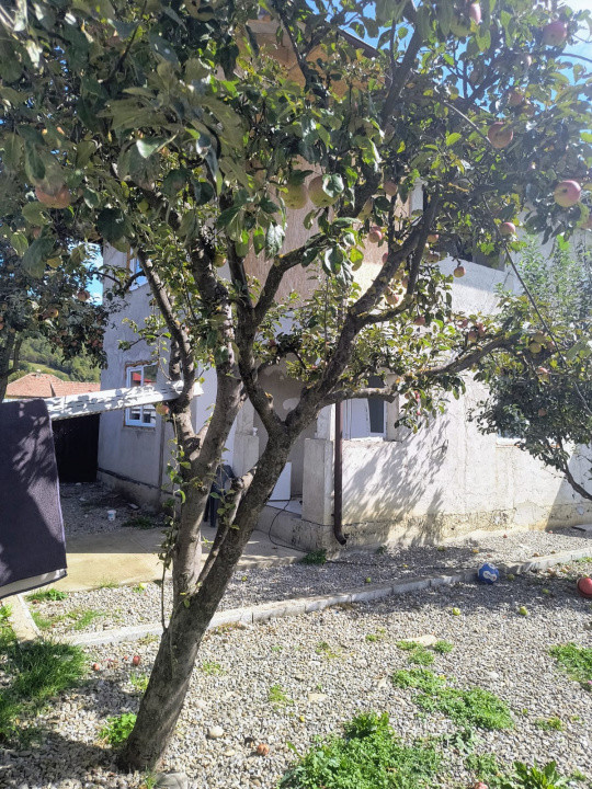 Casă renovată în Preluci la 12 Km de Comănesti , fântână și centrala proprie