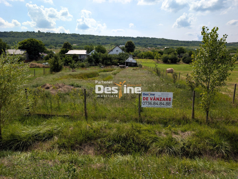Casă 170 mp + 2400 mp teren, curte cu IAZ cu potențial comercial, asfalt - Osoi