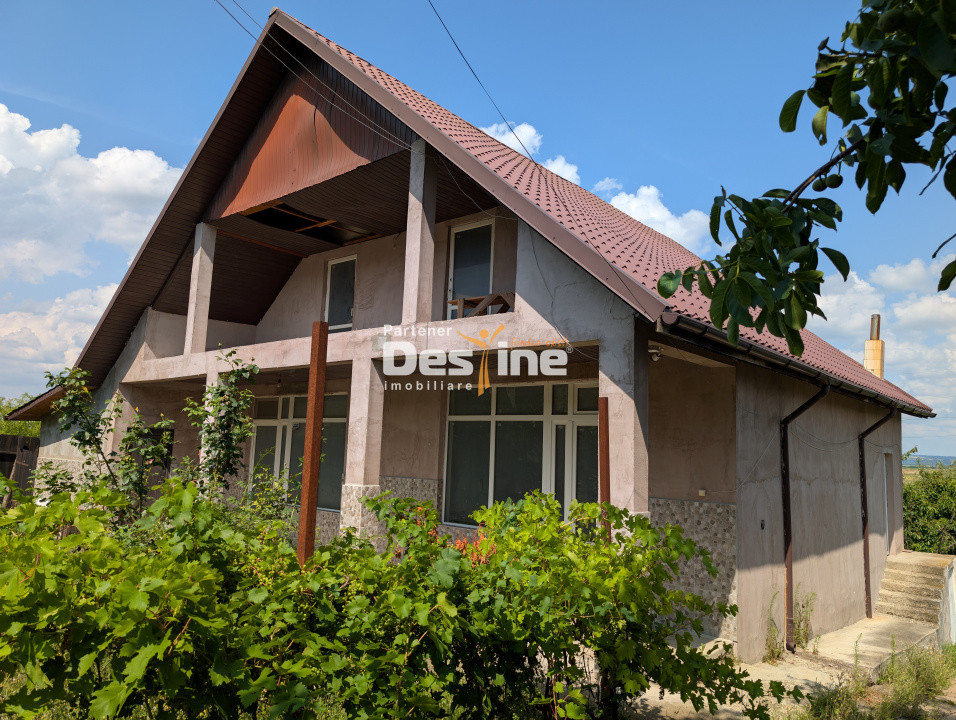 Casă 170 mp + 2400 mp teren, curte cu IAZ cu potențial comercial, asfalt - Osoi