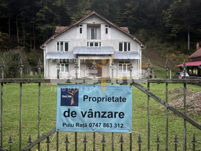 Casă frumoasă - zonă liniștită