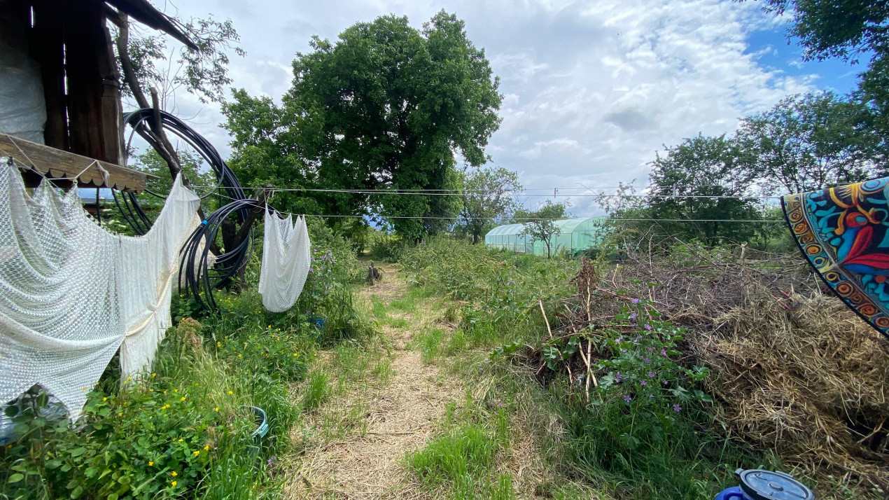 Teren 2133 m² cu utilități și ieșire la drum asfaltat – Clinceni