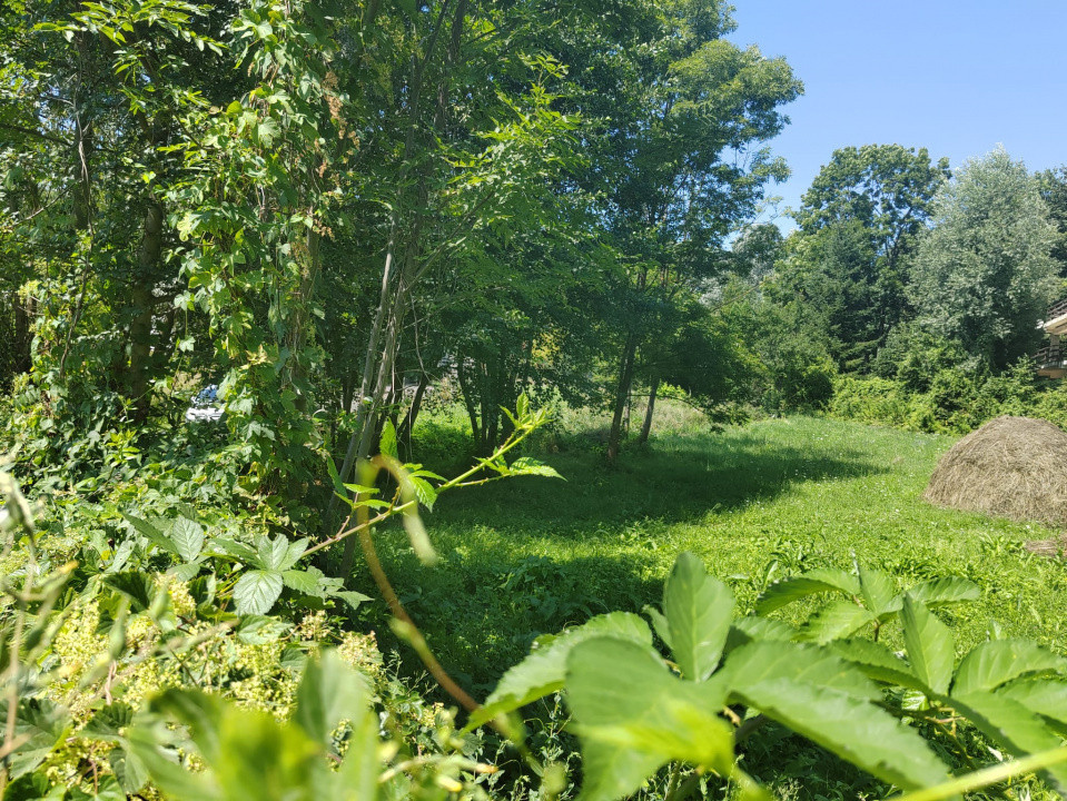 Teren intravilan 1035 mp cu parau, Breaza, Prahova