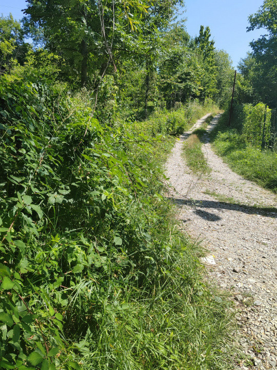 Teren intravilan 1035 mp cu parau, Breaza, Prahova