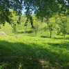 Teren intravilan 1035 mp cu parau, Breaza, Prahova